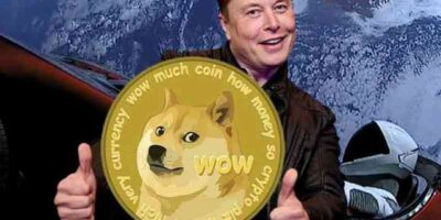 DOGE coin